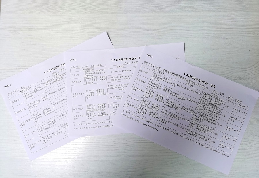 4黨員作風(fēng)自查自糾，填寫《個人作風(fēng)建設(shè)自查整改一覽表》.jpg