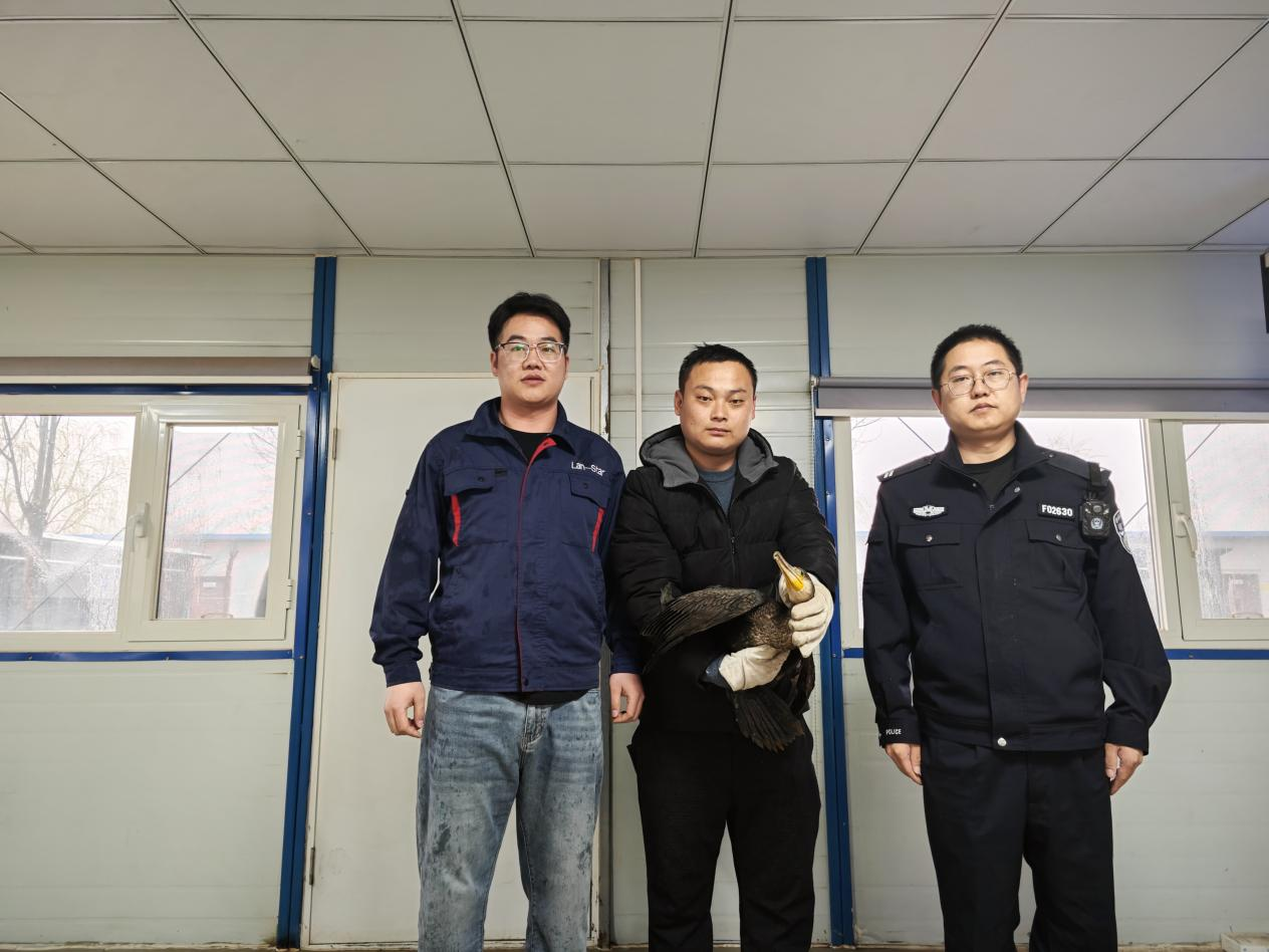 動物救助移交現場照片 (1).png